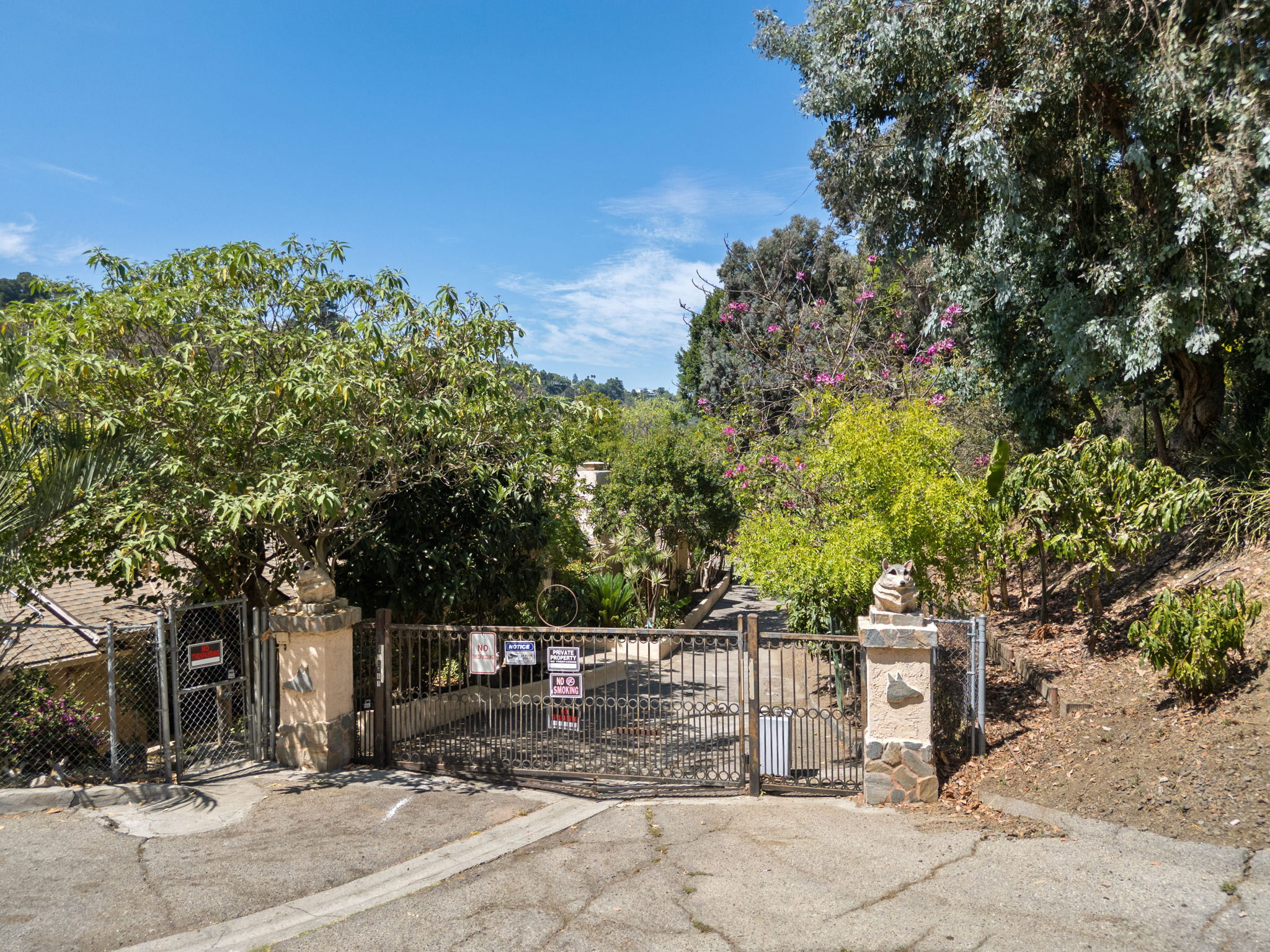 10961 Savona Road-13