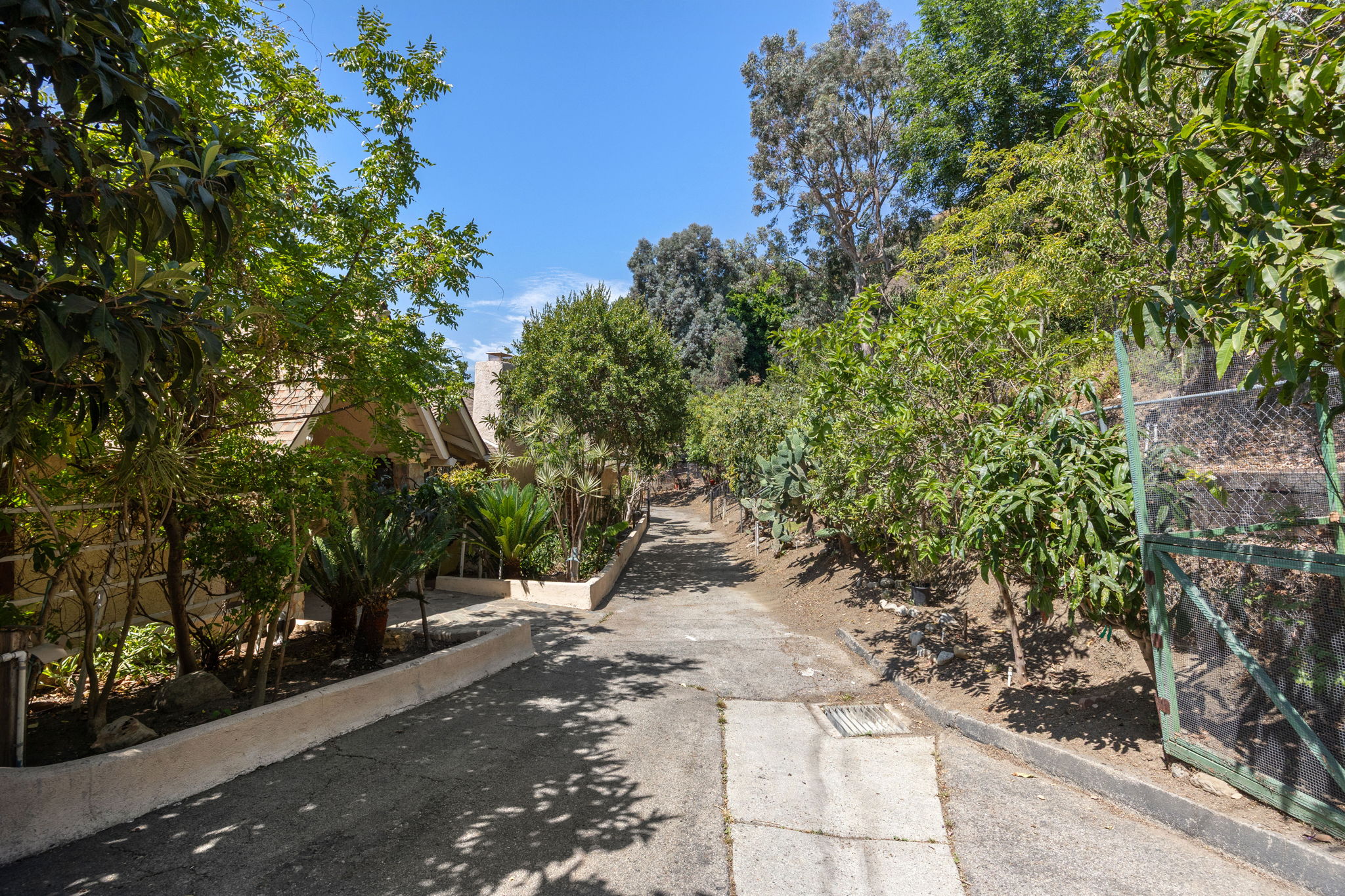 10961 Savona Road-16