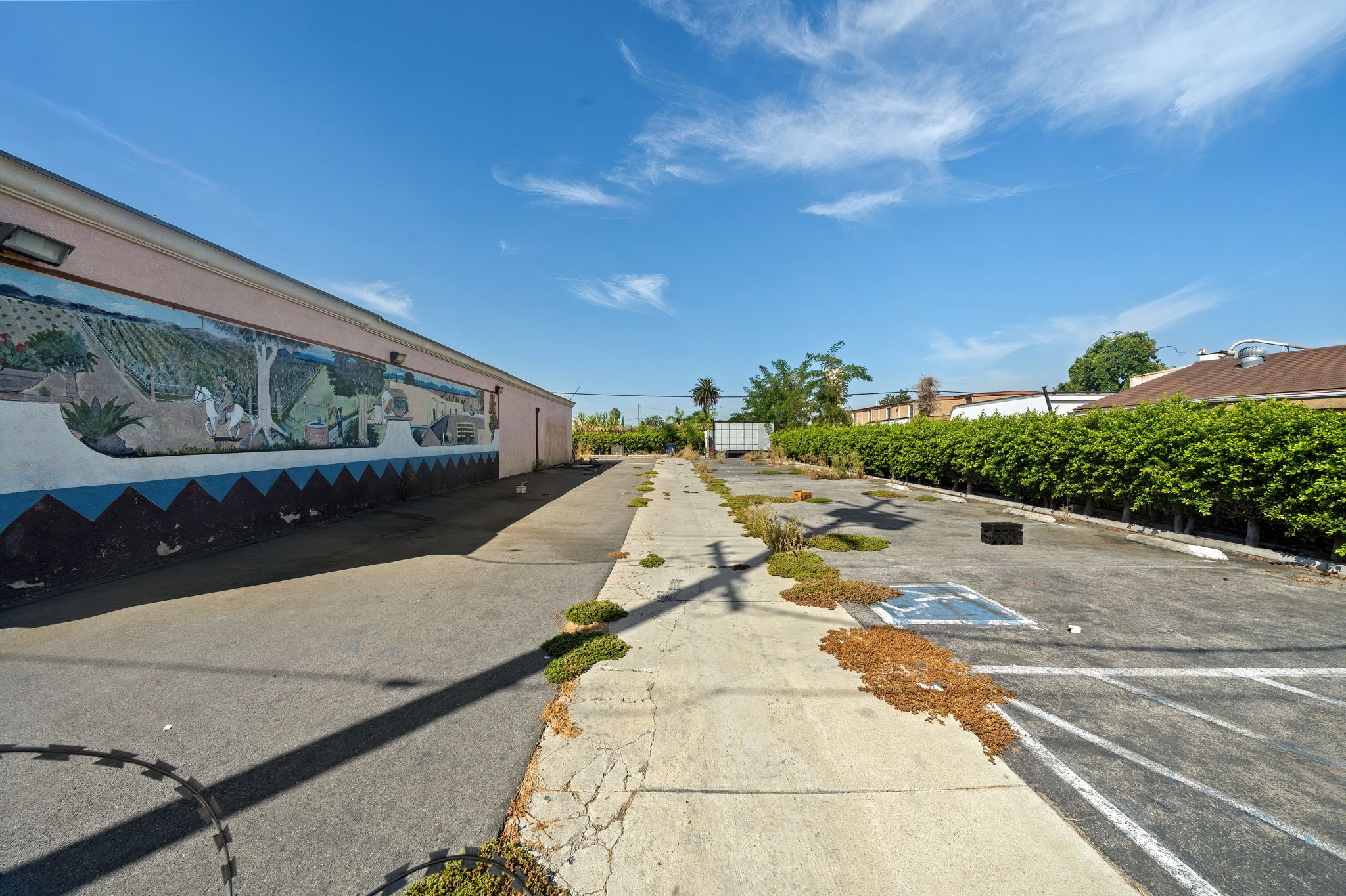 WILLOWBROOK AVE 9